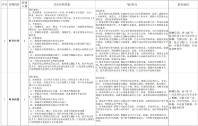 新泰市人民政府“職等你來”2025年3月金融信息技術(shù)外包崗位供需信息發(fā)布